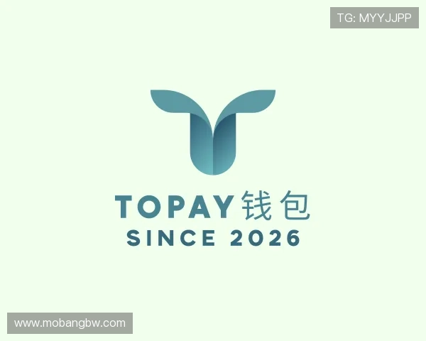 关于TOPAY钱包